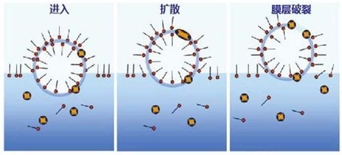 （圖：南輝消泡劑消泡原理）